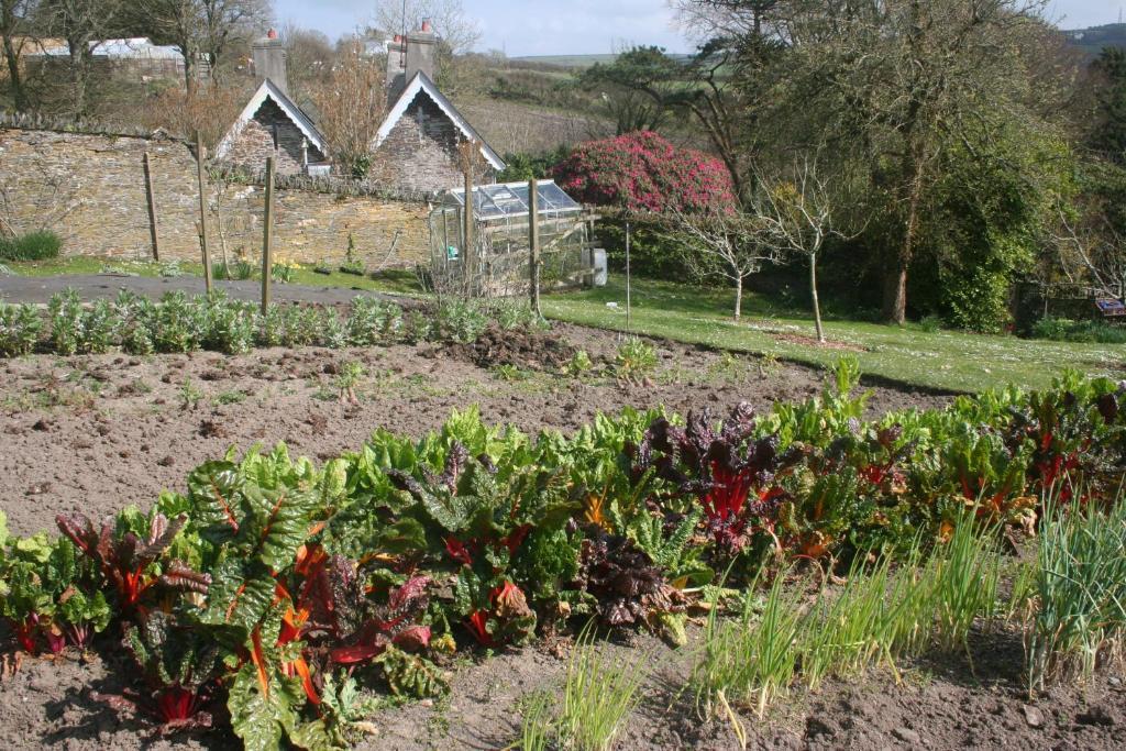 Bed & Breakfast The Old Rectory 5*