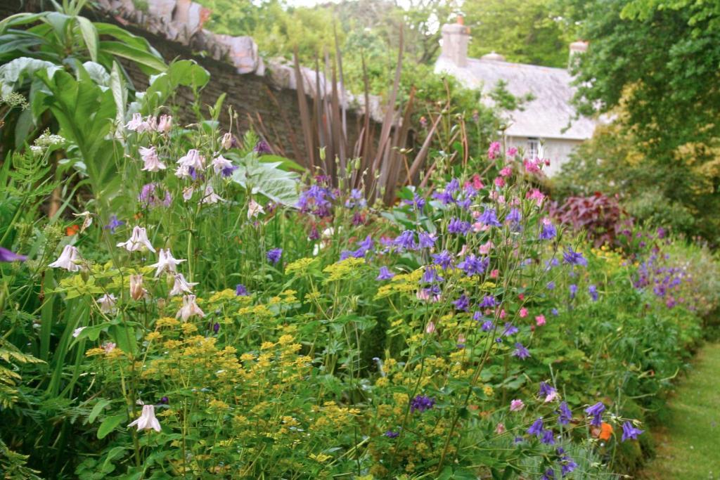 The Old Rectory 5* Boscastle